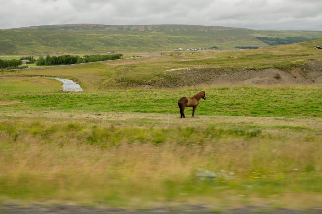 Family Road Trip in&nbsp;Iceland