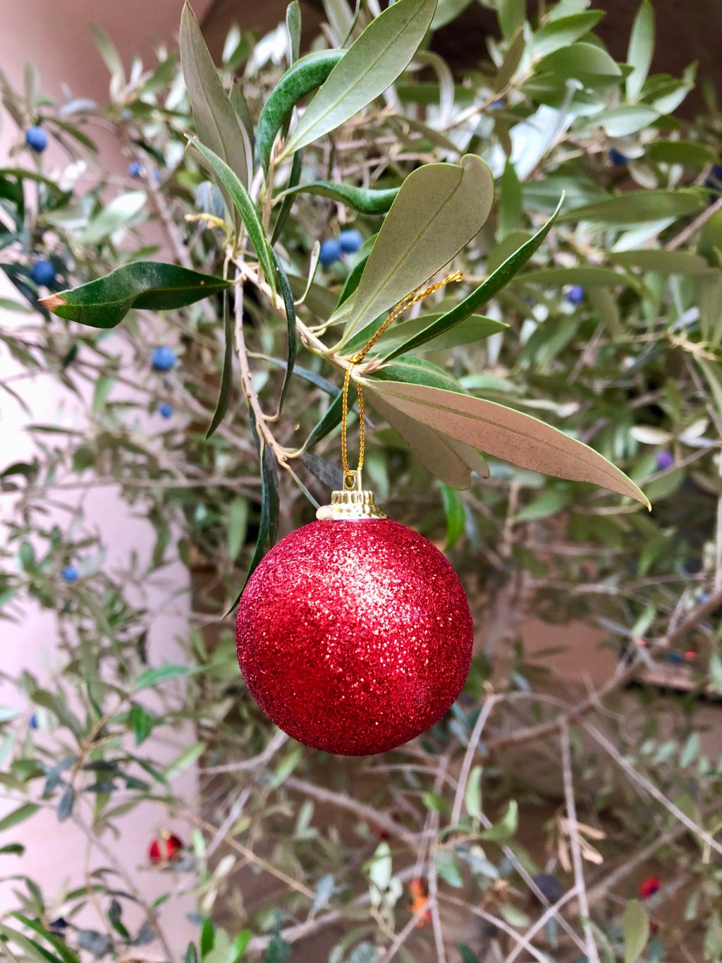 10 Italian Christmas and New Year’s Traditions to&nbsp;try