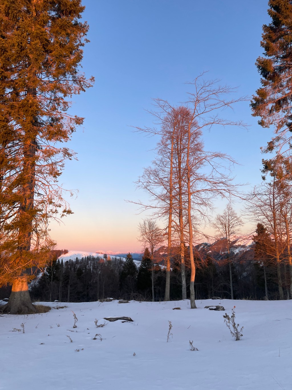 Snowshoeing at Monte Grappa in&nbsp;Italy
